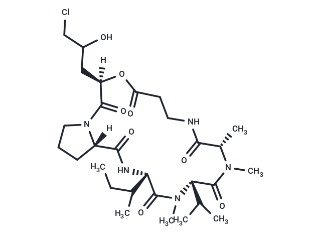 Destruxin CHL