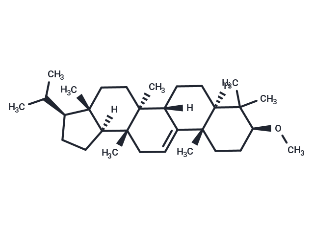 Cylindrin