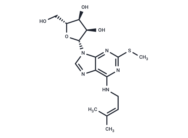 ms2i6A