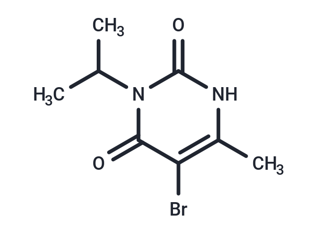 Isocil