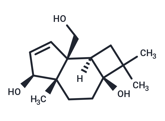 Punctaporonin D