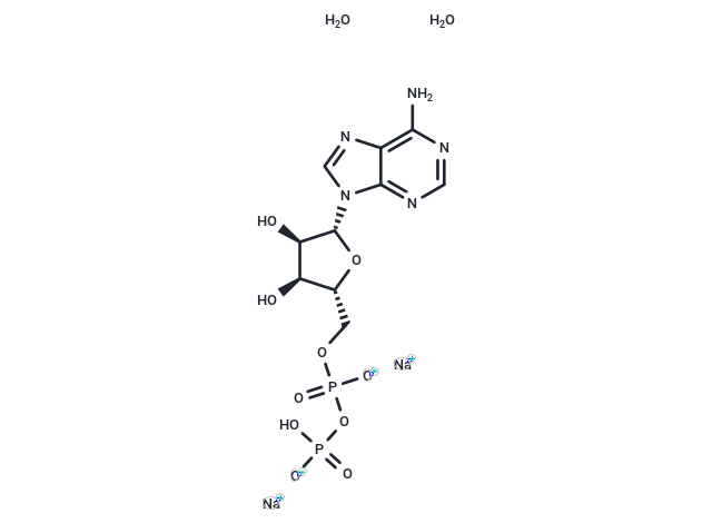 Adenosine-5'-diphosphate disodium salt