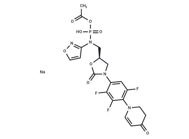 Contezolid acefosamil sodium