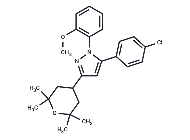 Cav 2.2 blocker 1