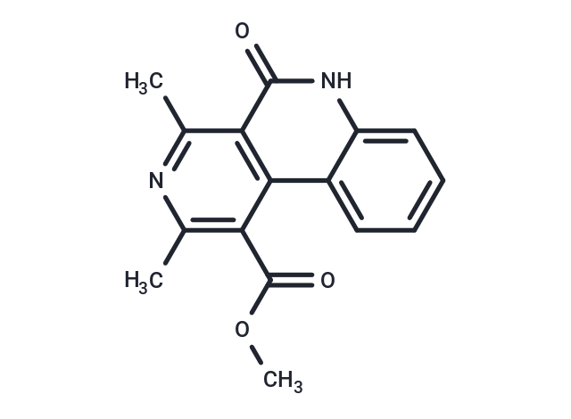 BNC-1