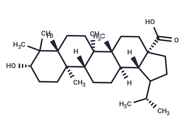 Dihydrobetulinic acid