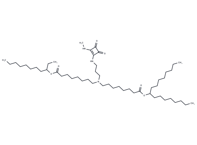 Lipid 29