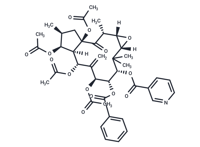 Kansuinine E