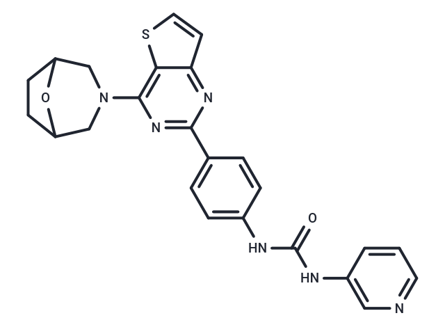 mTOR inhibitor 13