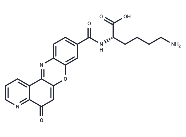 Topoisomerase IIα-IN-1