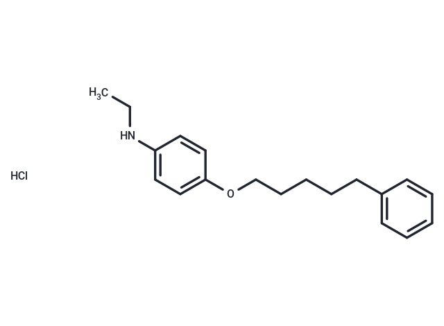 Aniline, N-ethyl-p-(5-phenylpentyloxy)-, hydrochloride