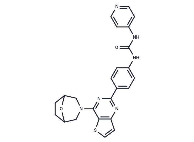 1-(4-(4-(8-oxa-3-azabicyclo[3.2.1]octan-3-yl)thieno[3,2-d]pyrimidin-2-yl)phenyl)-3-(pyridin-4-yl)urea