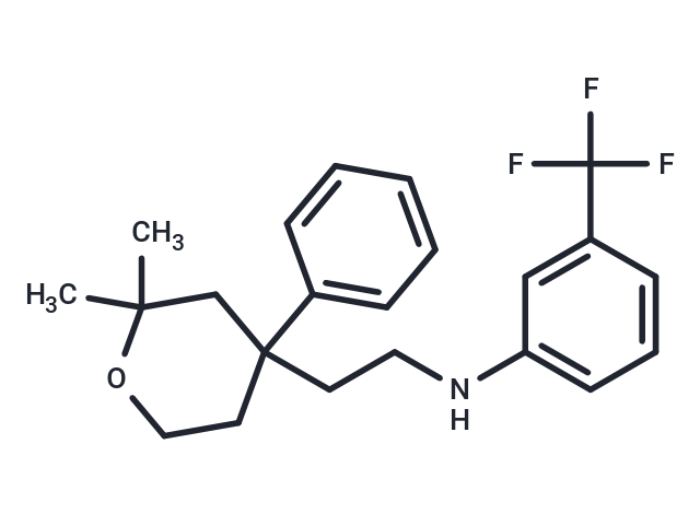 ICMT-IN-17