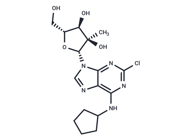 2'-MeCCPA