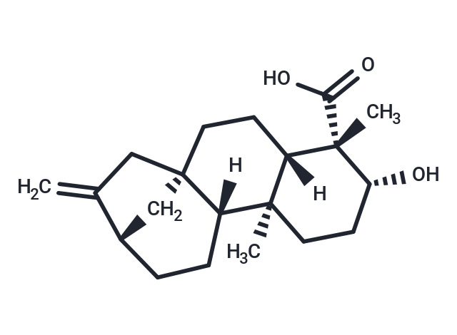 ent-3beta-Hydroxykaur-16-en-19-oic acid