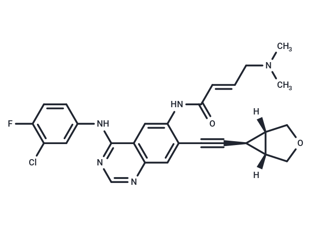 NT113