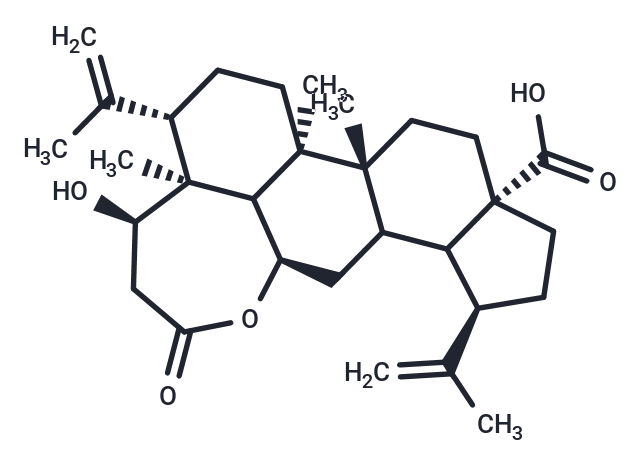 Chiisanogenin