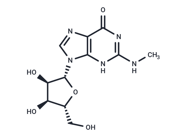 N2-Methylguanosine