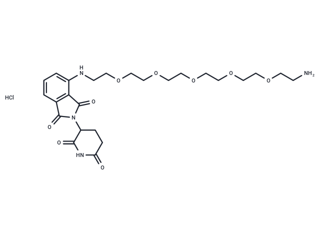 Pomalidomide 4'-PEG5-amine