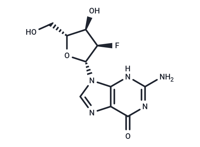 2′-Deoxy-2′-fluoroguanosine