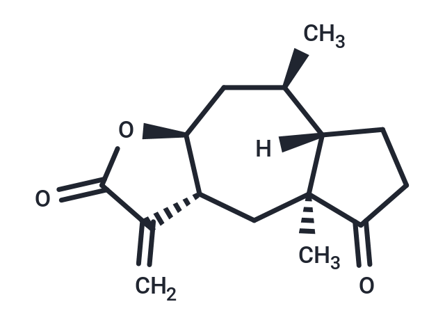 Graveolide