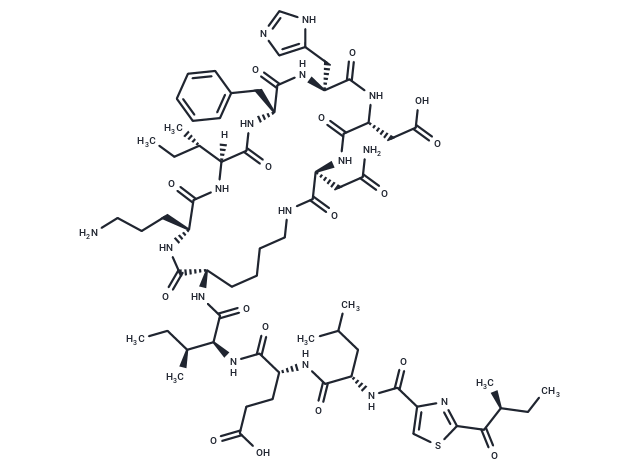 Bacitracin F [22601-63-4]