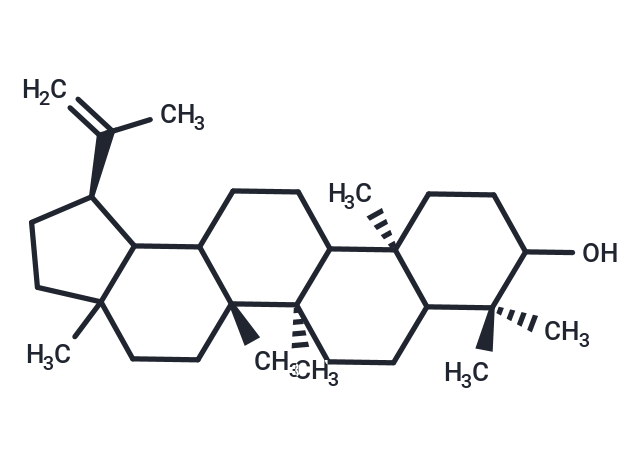 Compound N064-0028