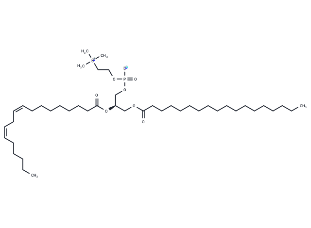 1-Stearoyl-2-linoleoyl-sn-glycero-3-phosphocholine