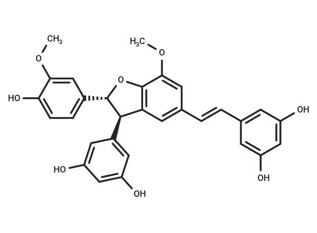 Shegansu B