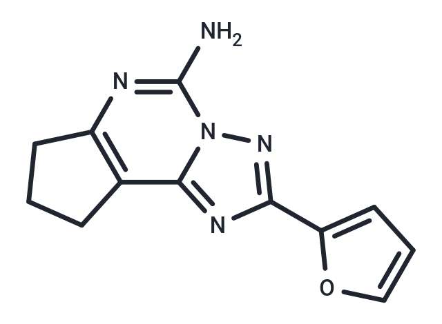 Cgs 21197