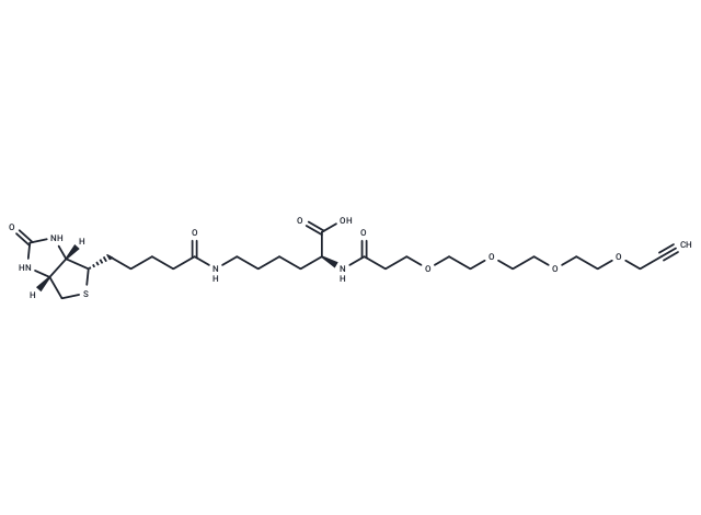 N-(Propargyl-PEG4)-biocytin