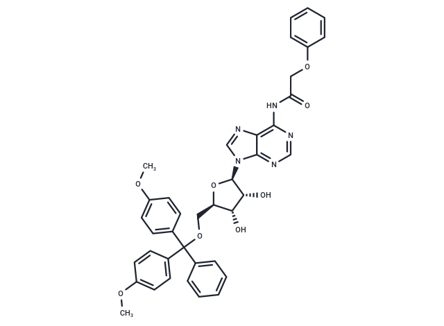 5’-O-(4,4’-Dimethoxytrityl)-N6-Phenoxyacetyl adenosine