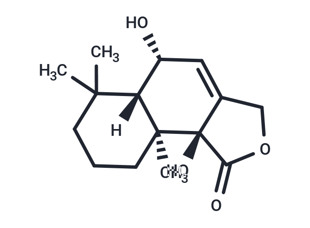 Strobilactone A