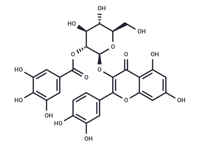 Quercetin-3-O-(2′′-O-galloyl)-β-D-glucopyranoside