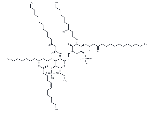 E 5531