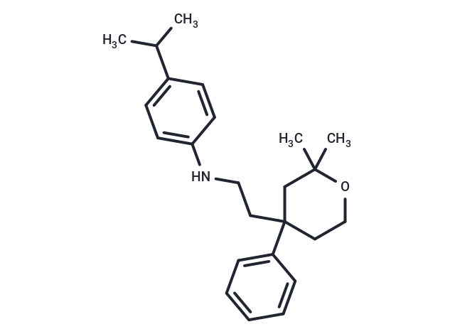 ICMT-IN-45