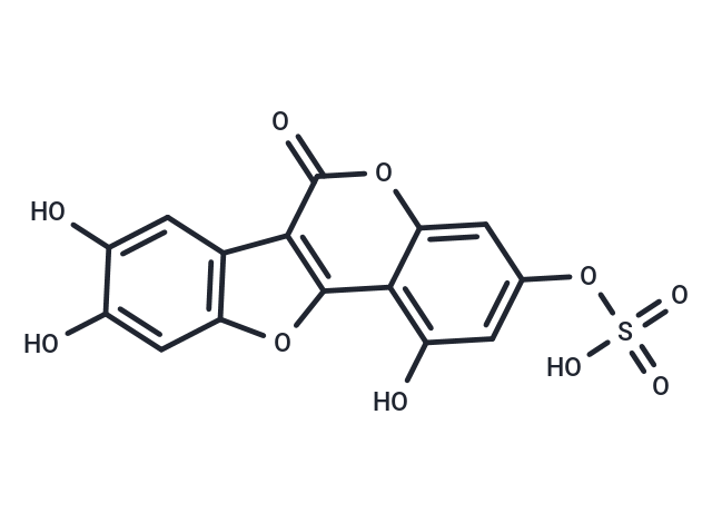 Demethylwedelolactone Sulfate