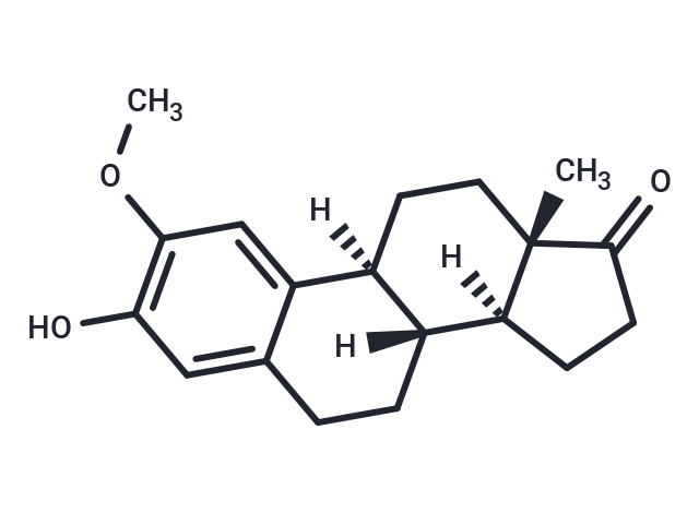 2-Methoxyestrone