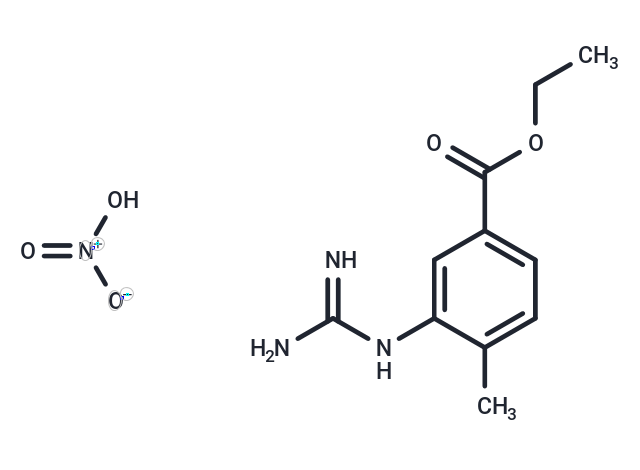 Ethyl 3-guanidino-4-methylbenzoate nitrate