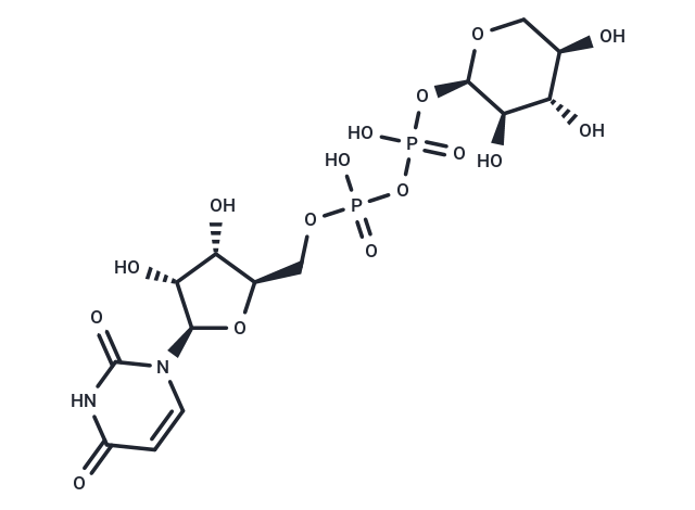 UDP-xylose