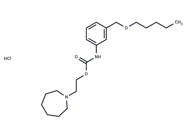 Carbanilic acid, m-((pentyloxy)methyl)-, 2-(hexahydro-1H-azepin-1-yl)ethyl ester, hydrochloride