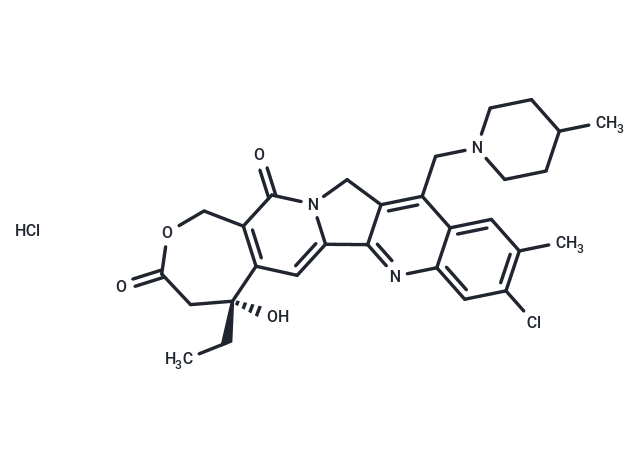 Elomotecan hydrochloride