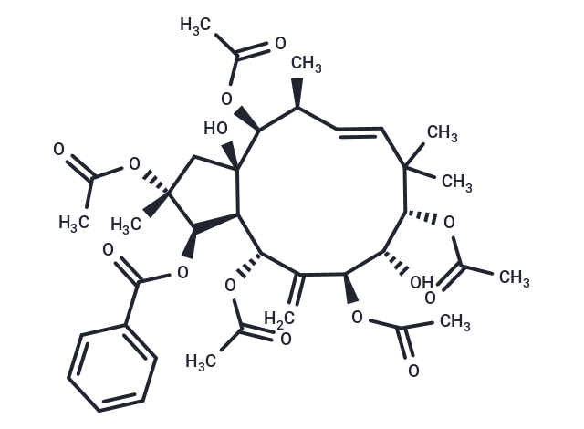 Jatrophane VI