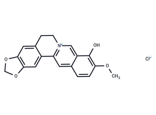 Berberrubine chloride