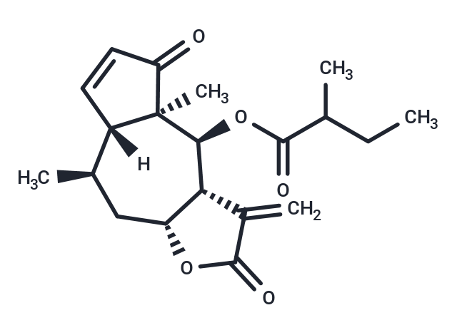 6-O-(2-Methylbutyryl)helenalin