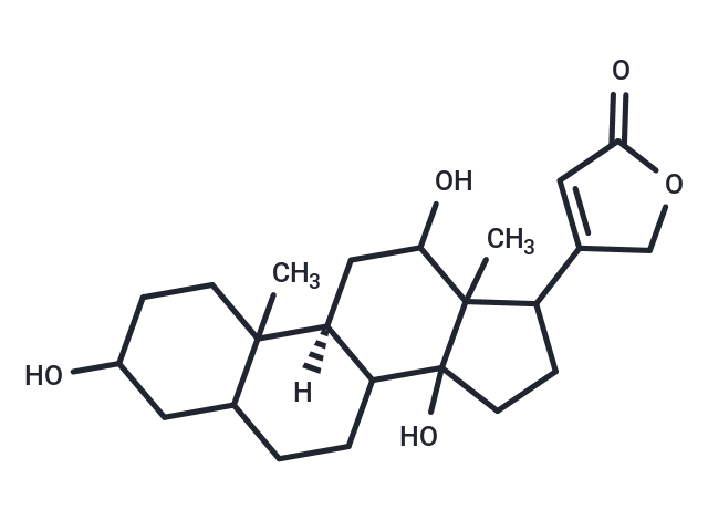 Compound 0407-0024