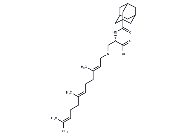 ICMT-IN-54