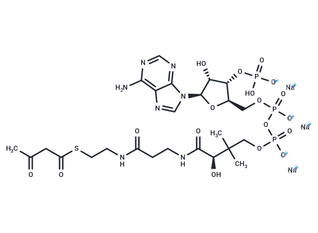 Acetoacetyl coenzyme A sodium