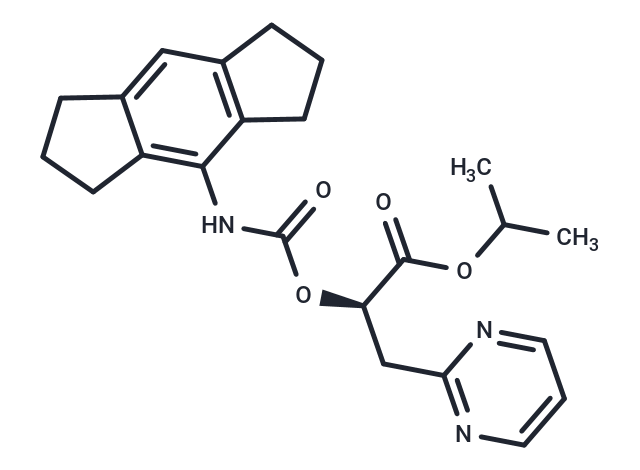 NT-0796