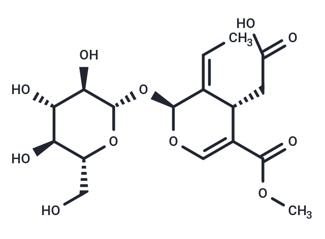Oleoside 11-methyl ester